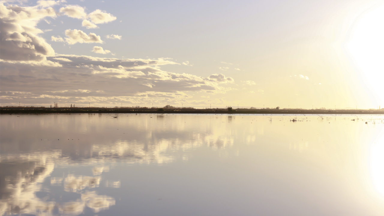 delta del ebro delta del ebre sushi mc